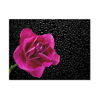 Gran tamaño Flores diferentes imágenes pintura al óleo hecha a mano Impresiones de lienzo para decoración de paredes