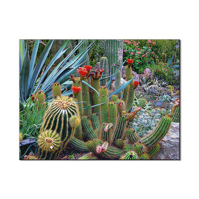 Plantas verdes Impresiones de lienzo Decoración de paredes Imágenes diferentes Pintura al óleo hecha a mano Impresiones de lienzo para decoración de paredes