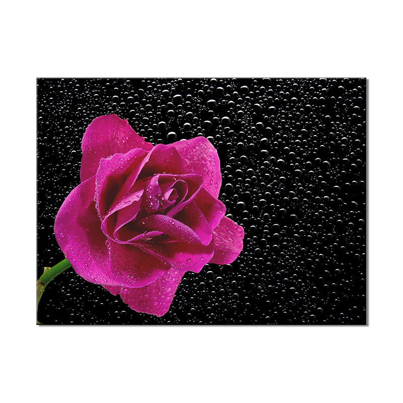 Gran tamaño Flores diferentes imágenes pintura al óleo hecha a mano Impresiones de lienzo para decoración de paredes